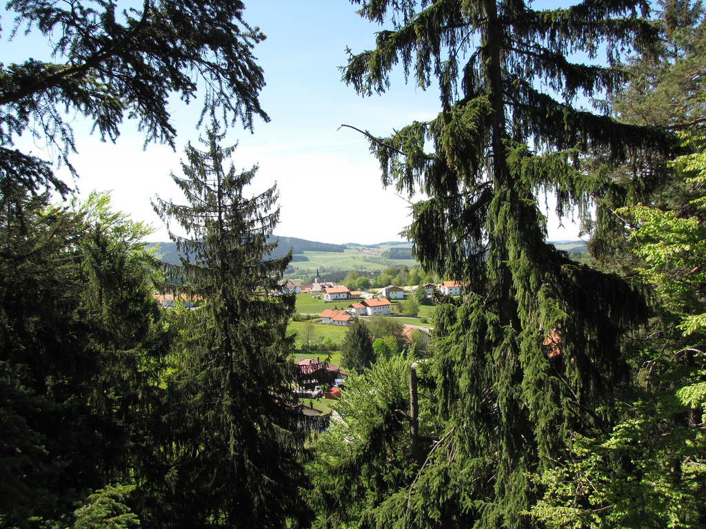 Baumwipfelpfad Bayerischer Wald