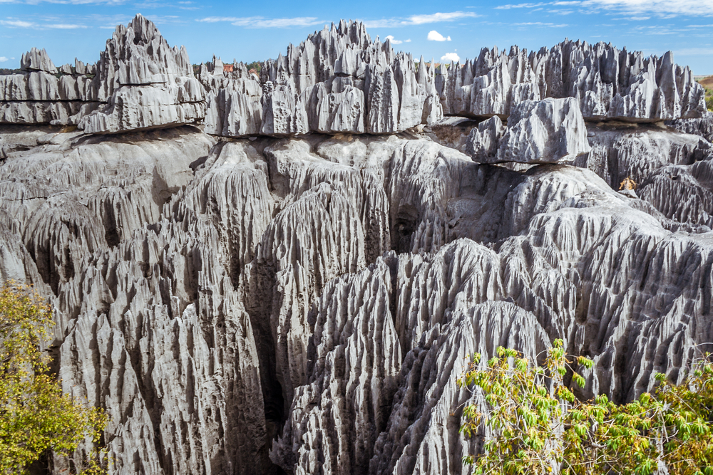 The great Tsingy de Bemaraha of Madagascar in the Tsingy de Bemaraha Integral Nature Reserve of UNESCO