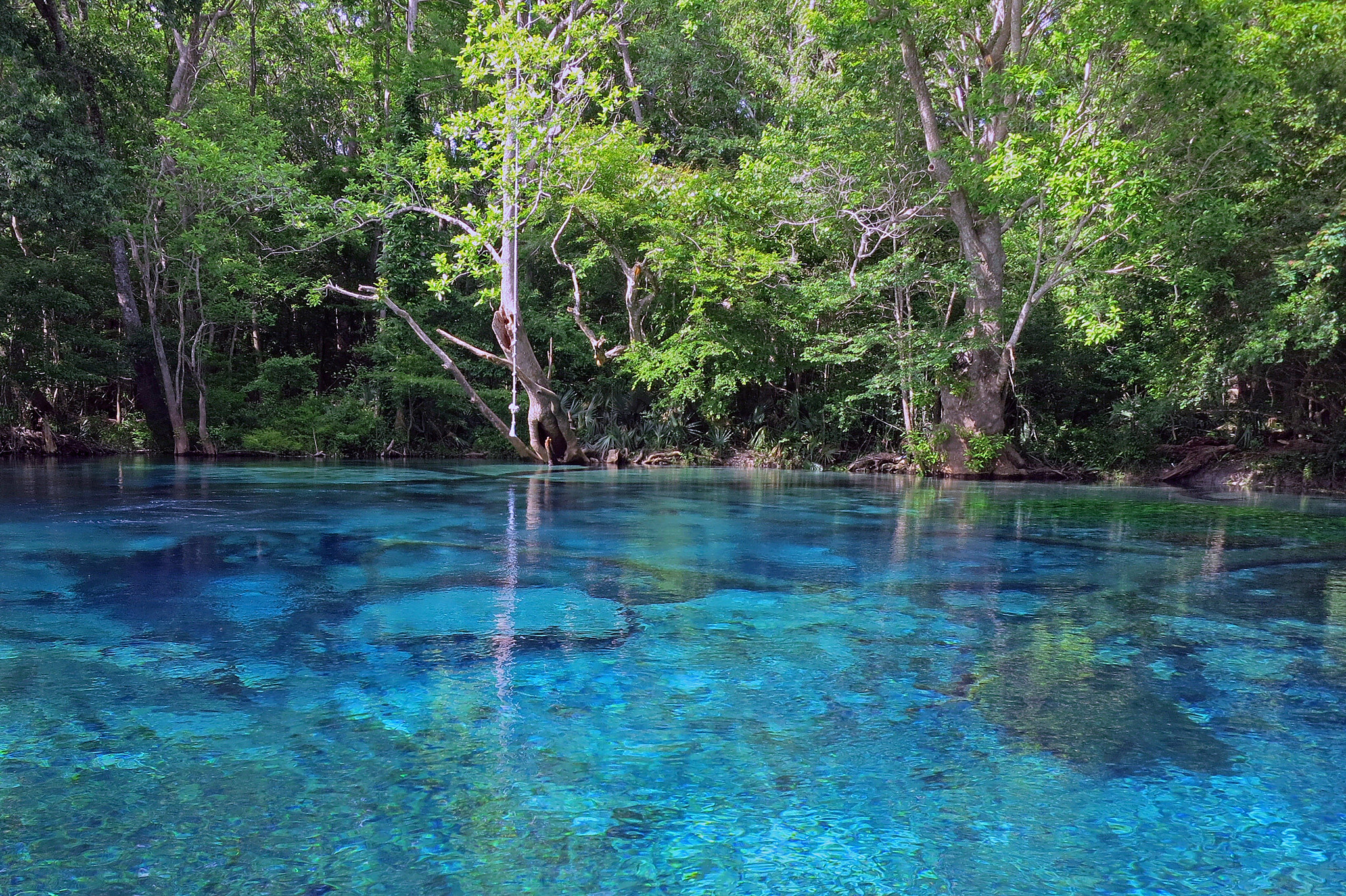 Cypress Springs Florida's Pristine Hidden Spring Unusual Places