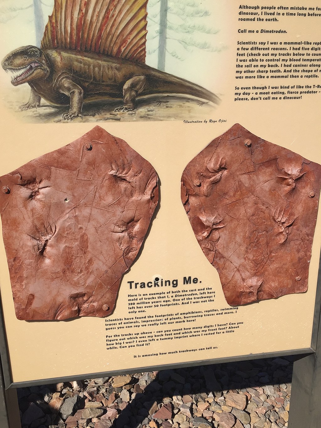 Sign showing possible reptile who made footprints and copies of footprints at Prehistoric Trackways National Monument