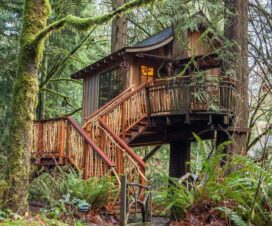 TreeHouse Point