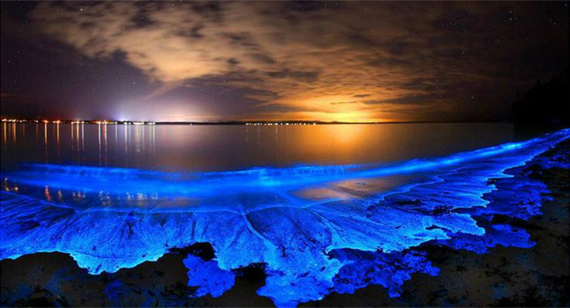 bioluminescent kayaking puerto rico