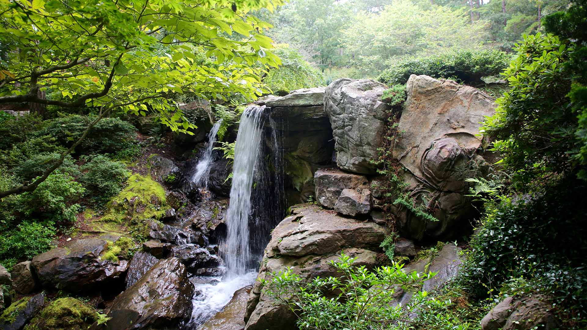 The Garvan Woodland Gardens is located in the picturesque Ouachita Mountains.