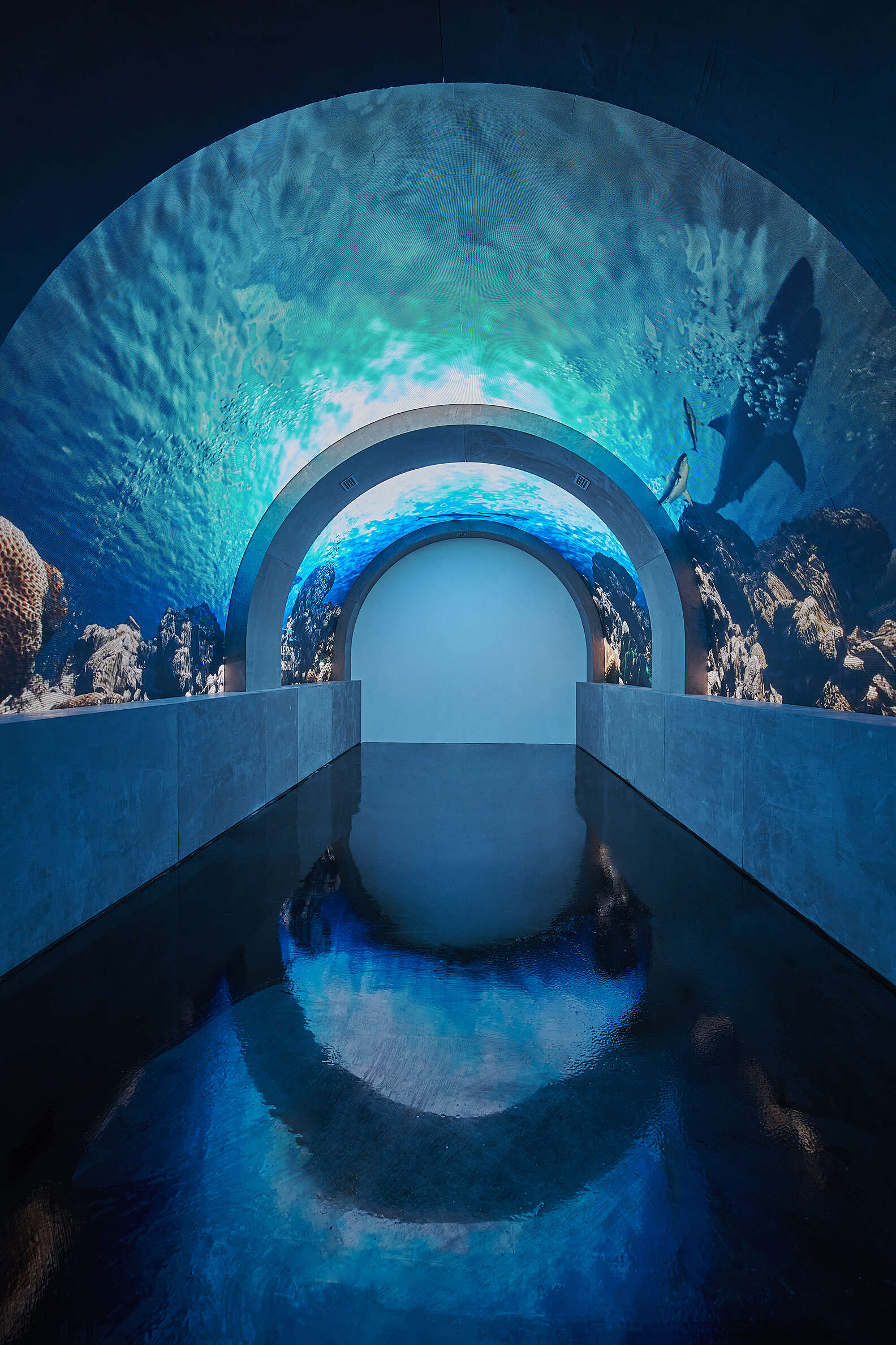 Take a tunnel through the CGI aquarium. No water necessary.