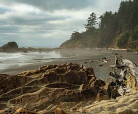 Rock-strewn Kalaloch Beach on Washington’s Pacific Coast under a threatening sky