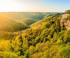 Panoramic view from ridge top at Red River Gorge in Kentuck