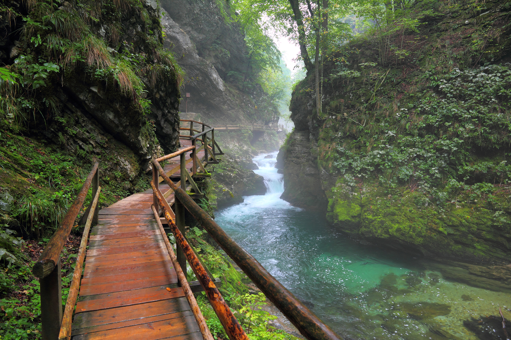 River in green forest in Canyon Vintgar, Triglav - Slovenia