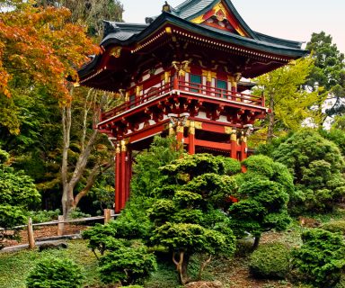 Pagoda in the Japanese Tea Garden