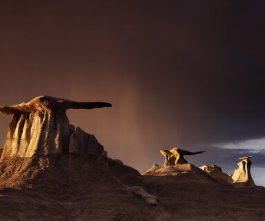 The Wings, bizarre rock formations in Bisti Badlands, New Mexico, USA