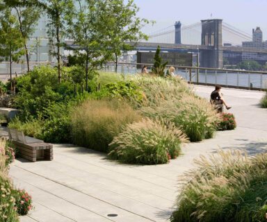 Garden, Elevated Acre Location: New York, NY Landscape Architect: Ken Smith Landscape Architects