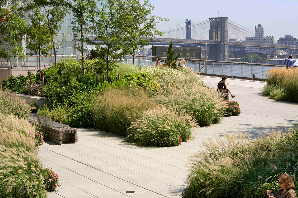 Garden, Elevated Acre   Location: New York, NY  Landscape Architect: Ken Smith Landscape Architects