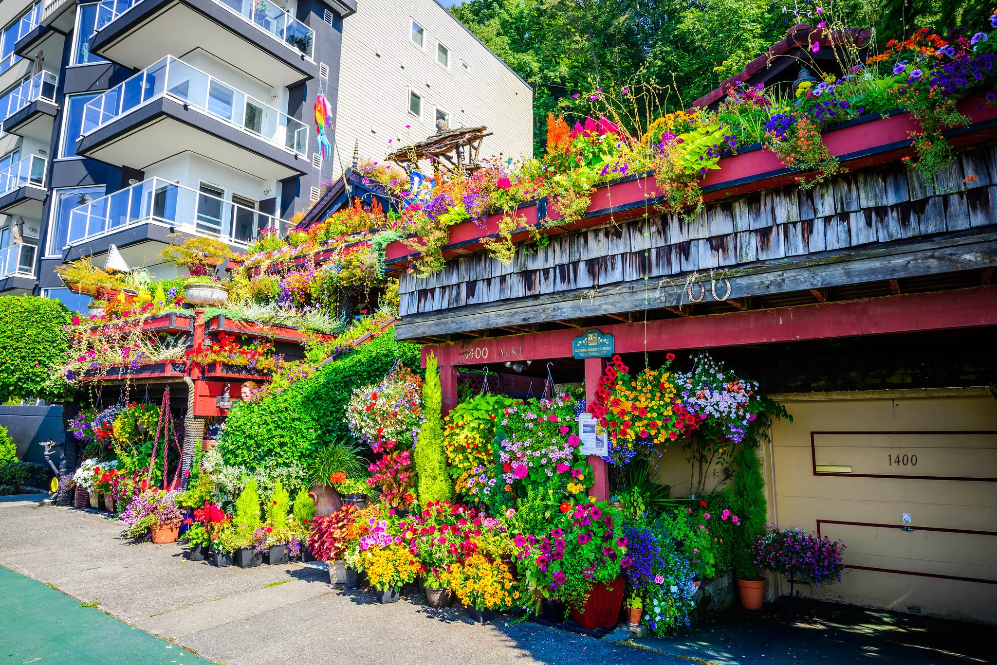 Flower house